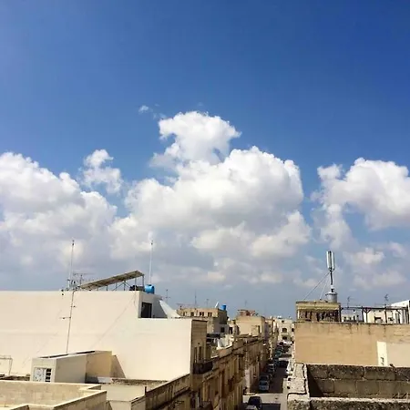 Flower: Modern Flat Close To Airport/bus Stops