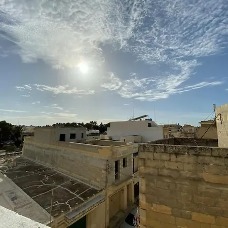 Flower: Modern Flat Close To Airport/bus Stops Tarxien