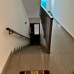 Flower: Modern Flat Close To Airport/bus Stops
