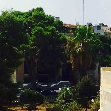 Flower: Modern Flat Close To Airport/bus Stops