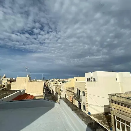 Flower: Modern Flat Close To Airport/bus Stops Tarxien