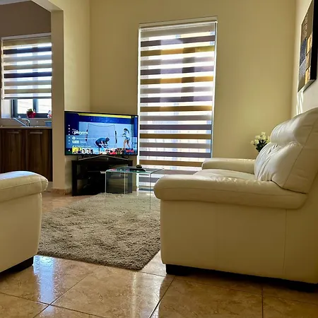 Flower: Modern Flat Close To Airport/bus Stops * Tarxien