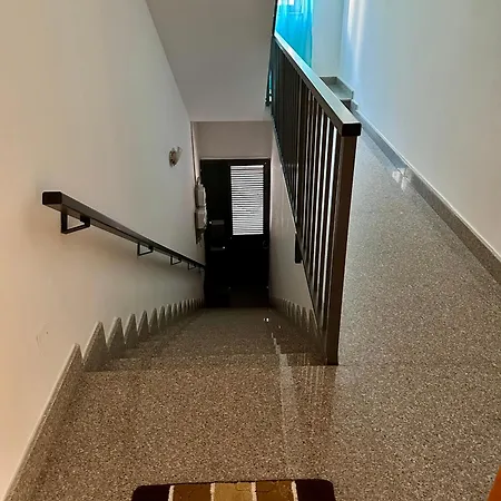 Flower: Modern Flat Close To Airport/bus Stops