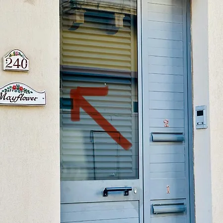 Flower: Modern Flat Close To Airport/bus Stops Tarxien