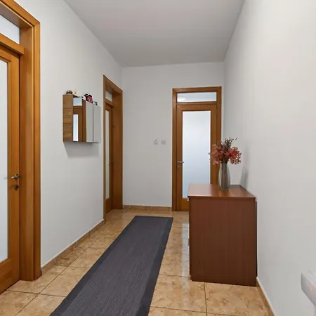 Flower: Modern Flat Close To Airport/bus Stops Tarxien