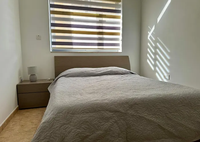 Flower: Modern Flat Close To Airport/bus Stops Tarxien