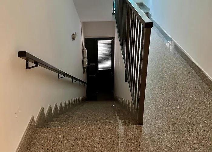 Flower: Modern Flat Close To Airport/bus Stops