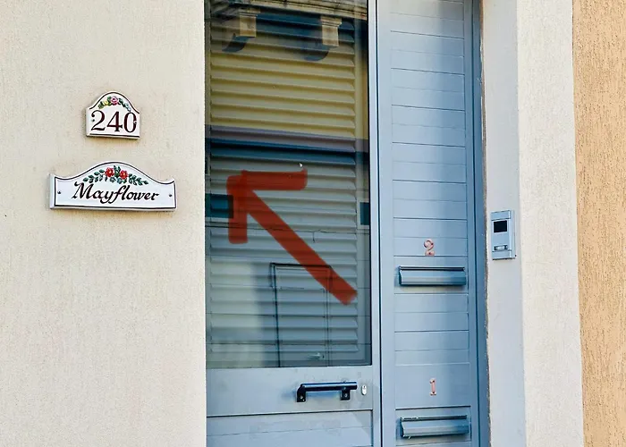 Flower: Modern Flat Close To Airport/bus Stops Tarxien